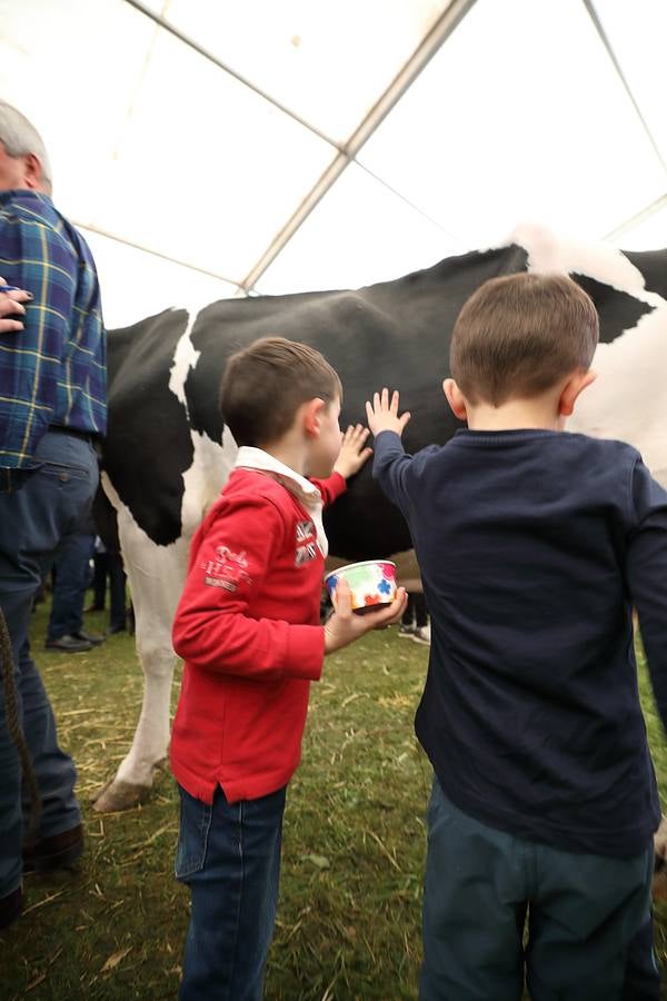 La Feria de la Leche de Trasierra ha ensalzado la labor de los ganaderos y un precio justo para la leche por cuarto año consecutivo, un evento con gran aceptación que se ha celebrado en este barrio del municipio de Ruiloba con motivo de la festividad de Santa Eulalia. 