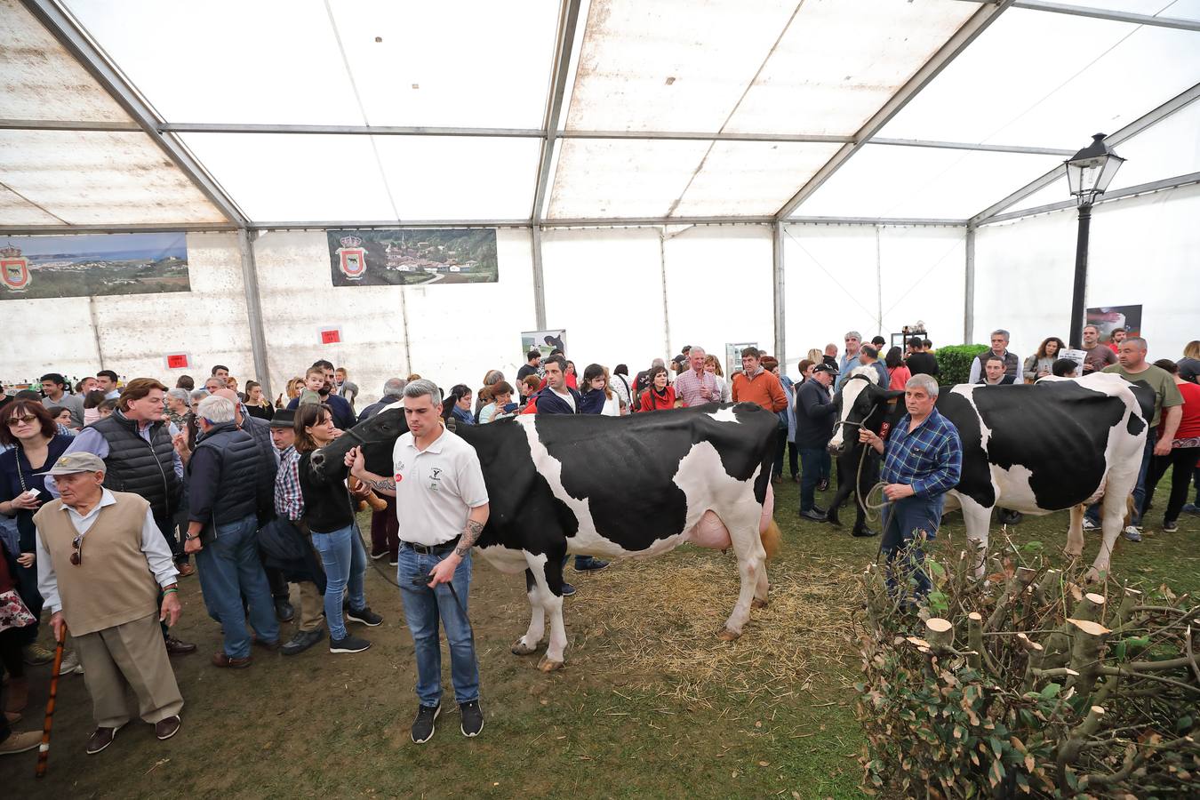 La Feria de la Leche de Trasierra ha ensalzado la labor de los ganaderos y un precio justo para la leche por cuarto año consecutivo, un evento con gran aceptación que se ha celebrado en este barrio del municipio de Ruiloba con motivo de la festividad de Santa Eulalia. 