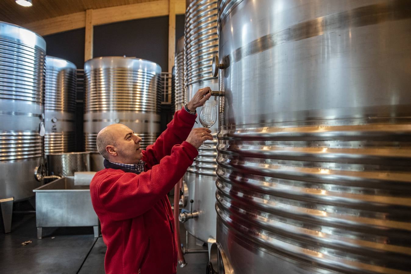 Carlos Recio, de Casona Micaela: «Ha costado llegar a donde estamos y es el momento de tener más plantaciones. Hemos demostrado que somos capaces de elaborar y producir buenos vinos»