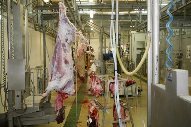El matadero cierra las líneas de sacrificio para el ganado ovino, caprino y porcino 