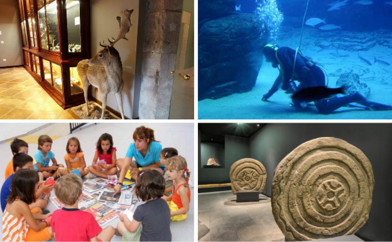 Arrioba, el Museo de la Naturaleza y el Museo Marítimo y abajo, la Biblioteca Central y el Museo de Prehistoria y Arqueología.