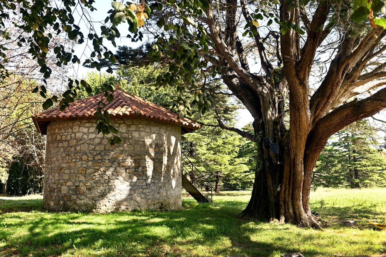 Fotos: Las 30 hectáreas de la Finca Astillona