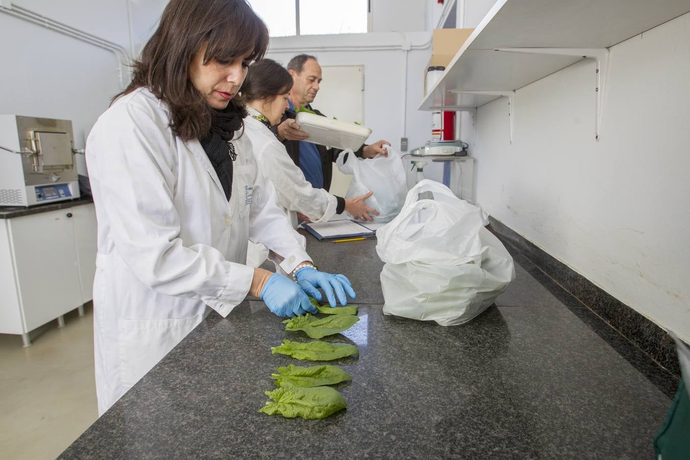 El banco de semillas del Centro de Investigación y Formación Agraria (CIFA) de Cantabria atesora el patrimonio genético de especies hortofrutícolas tradicionales de la región. Su trabajo busca frenar la pérdida de la biodiversidad agrícola; recuperar el cultivo de variedades tradicionales; favorecer la seguridad alimentaria; garantizar la disponibilidad de los recursos necesarios en el futuro y la puesta en valor de especies que tal vez tengan menos rentabilidad comercial, pero que su alta calidad y sus propiedades organolépticas –cómo sabe, cómo huele, su textura– compense ese mayor coste 