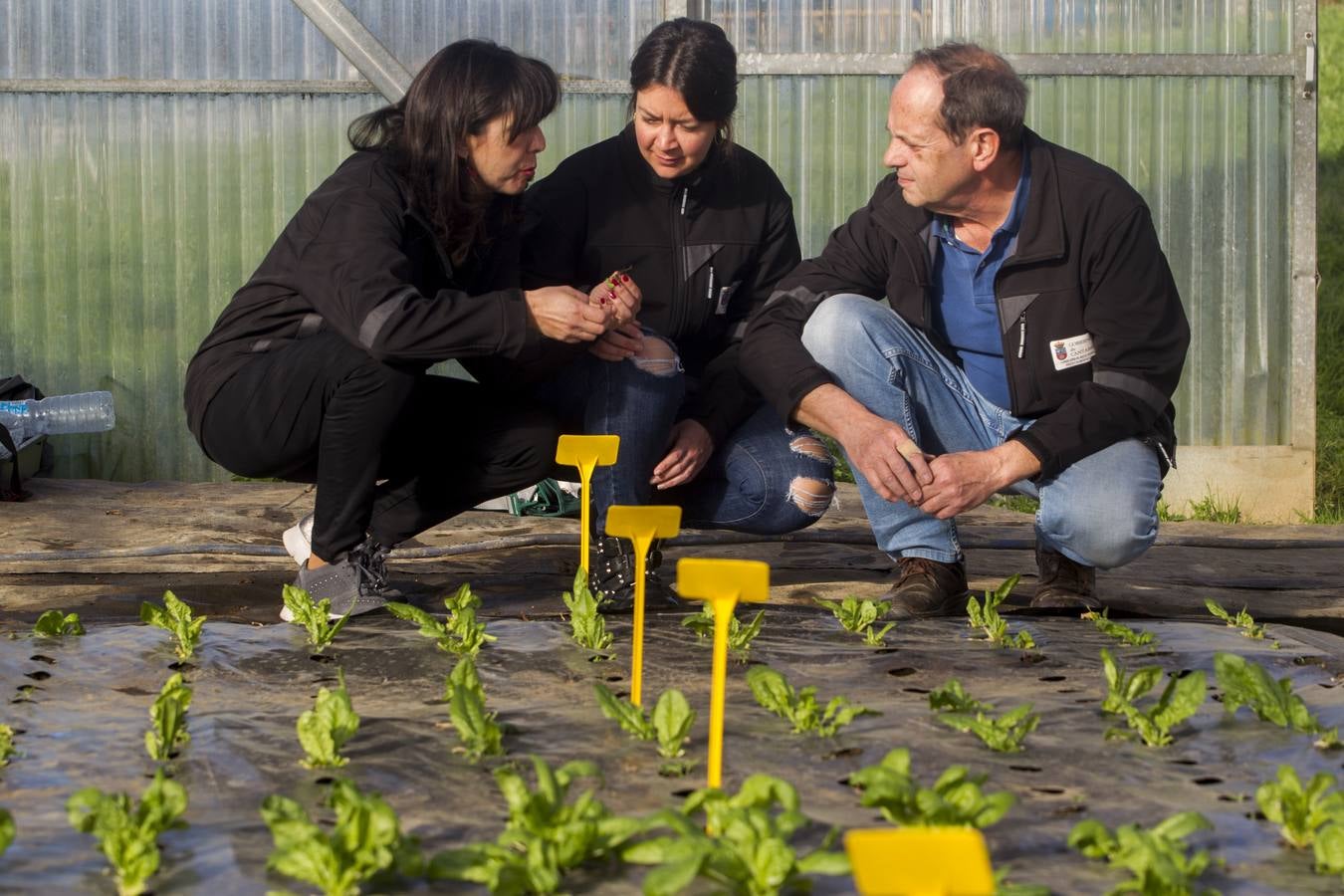 El banco de semillas del Centro de Investigación y Formación Agraria (CIFA) de Cantabria atesora el patrimonio genético de especies hortofrutícolas tradicionales de la región. Su trabajo busca frenar la pérdida de la biodiversidad agrícola; recuperar el cultivo de variedades tradicionales; favorecer la seguridad alimentaria; garantizar la disponibilidad de los recursos necesarios en el futuro y la puesta en valor de especies que tal vez tengan menos rentabilidad comercial, pero que su alta calidad y sus propiedades organolépticas –cómo sabe, cómo huele, su textura– compense ese mayor coste 