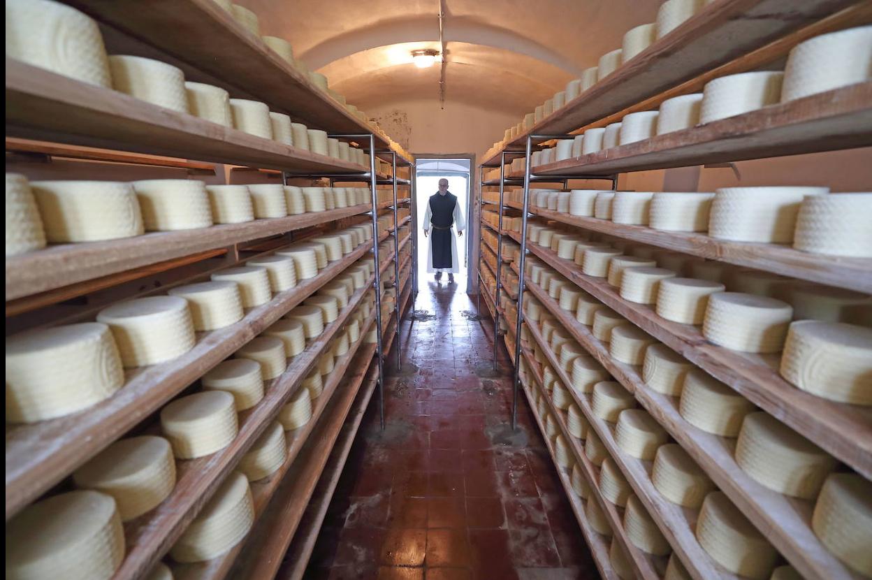 En Cantabria hay más de 200 tipos distintos de queso, desde los más suaves, como el de nata o los de Guriezo, a los más fuertes, como los Quesucos de Liébana o el Picón. 