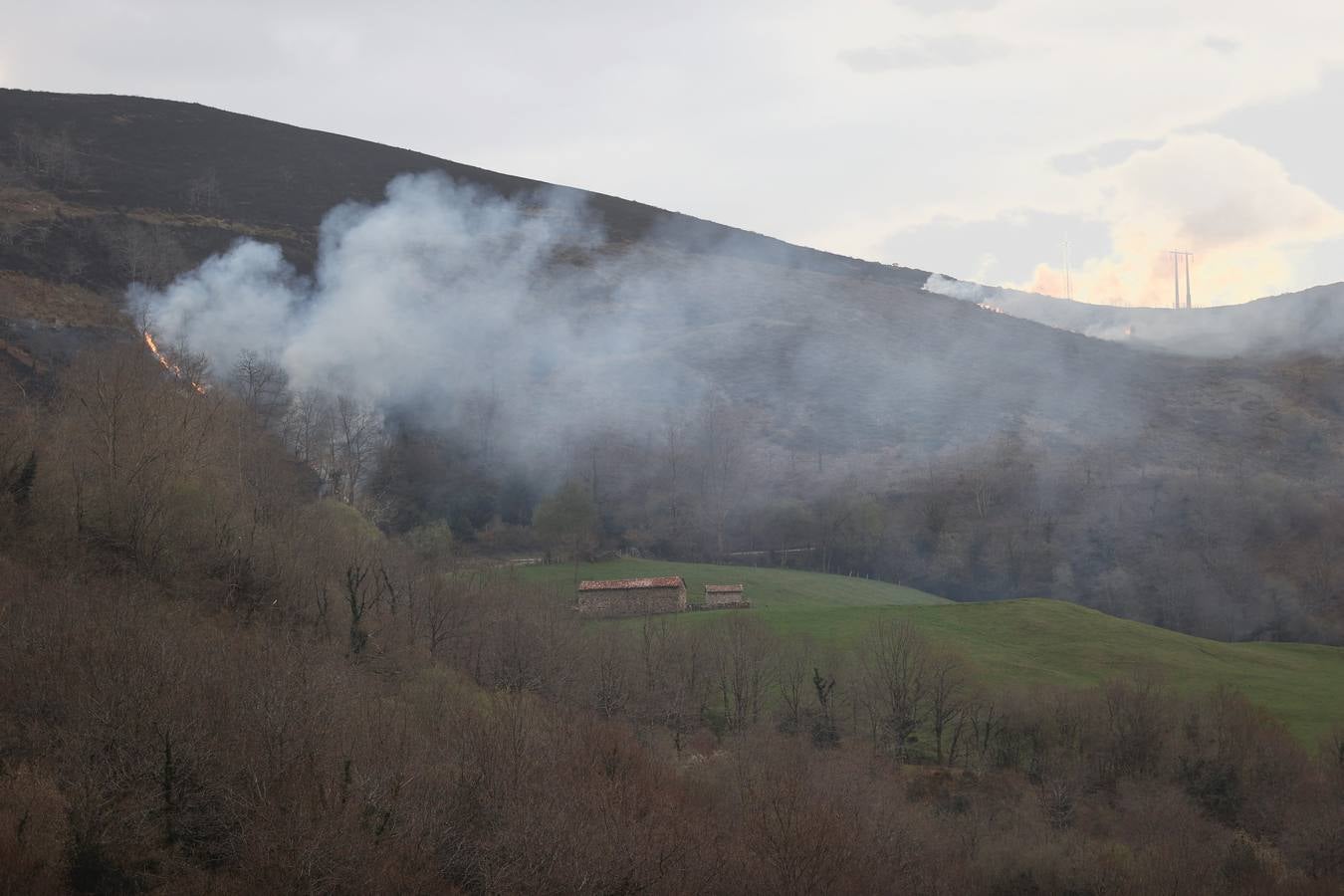 Fuego en la carretera que va hacia Carmona.