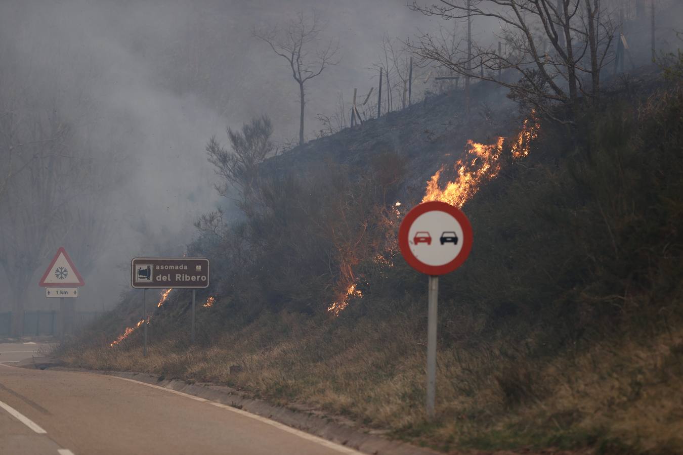 Fuego en la carretera que va hacia Carmona.