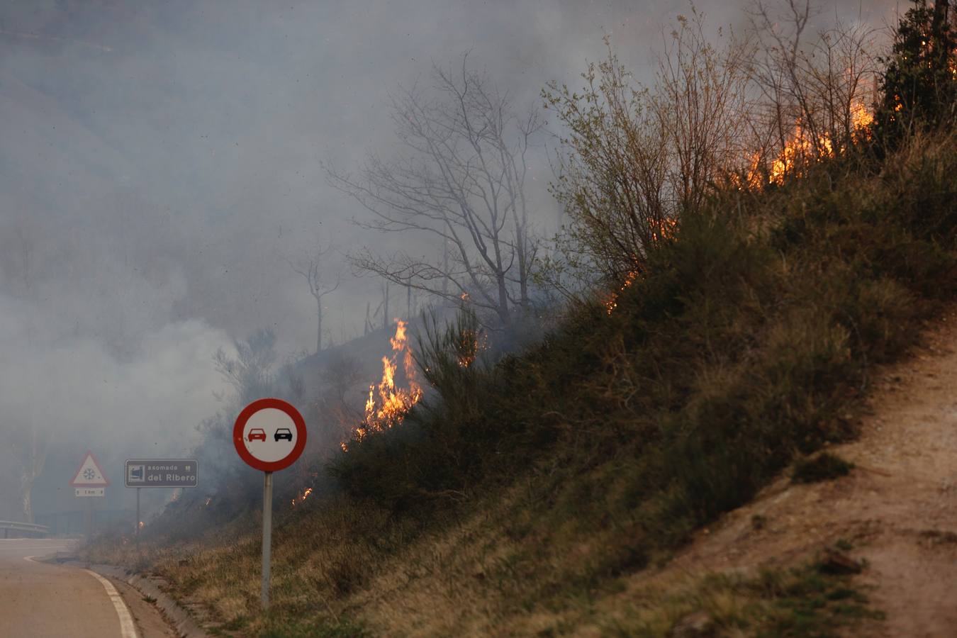 Fuego en la carretera que va hacia Carmona.