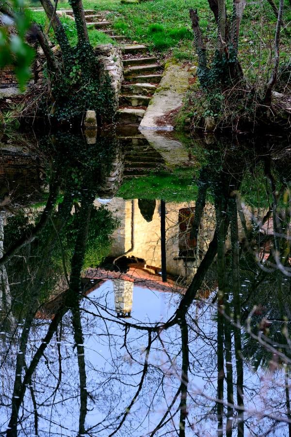 Reflejo en el Nela a su paso por Cigüenza.