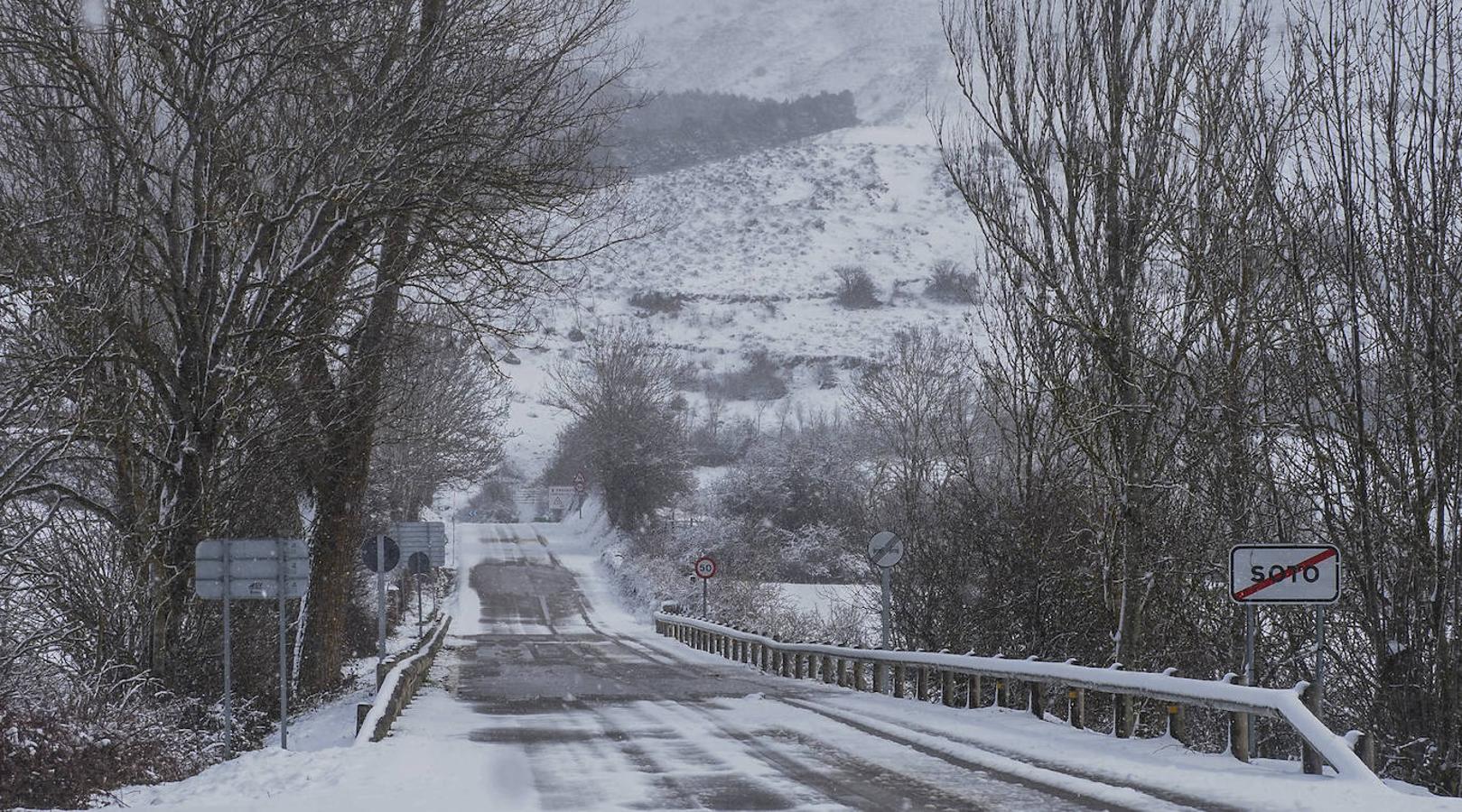 Fotos: Llega la nieve al sur de Cantabria