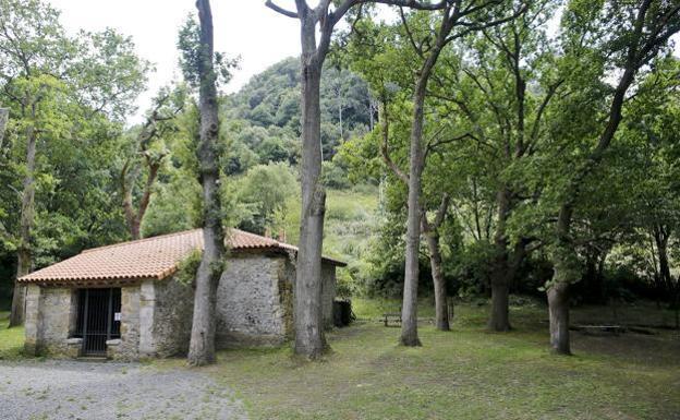 Arboretum de Liendo.