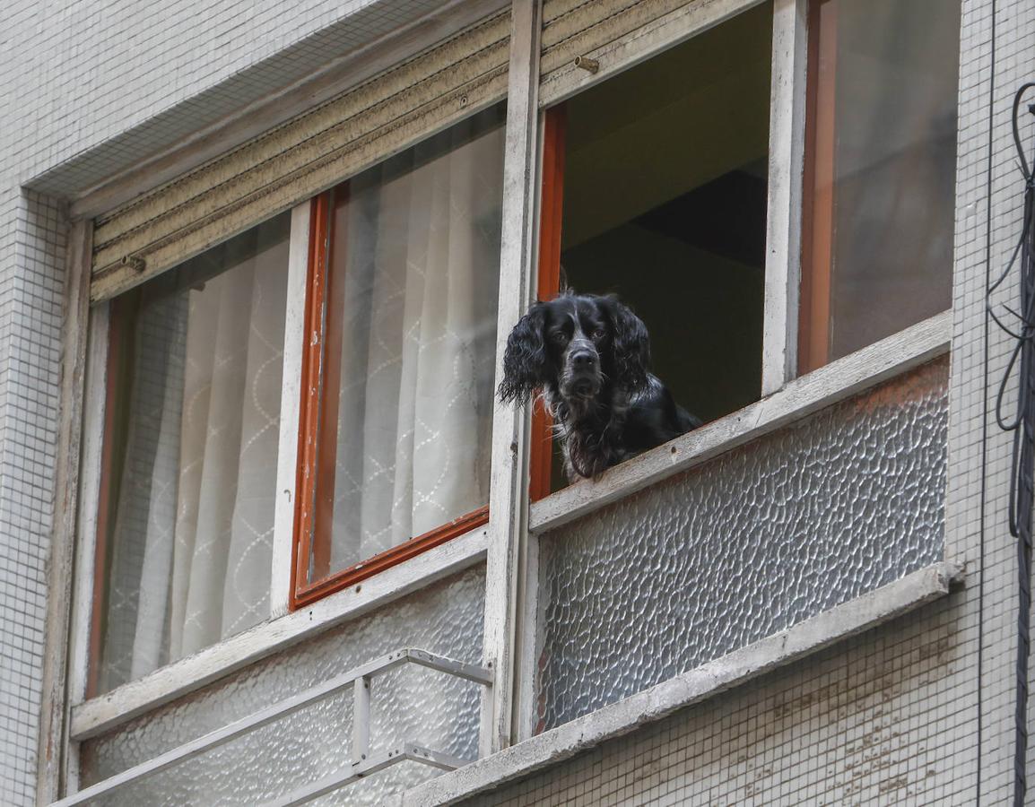 Fotos: Mucha vida en las ventanas