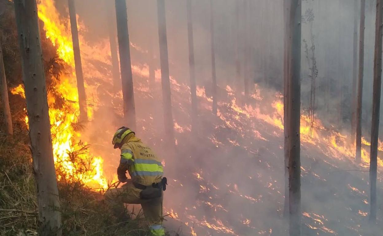 Activos dos incendios forestales de los 11 provocados en las últimas horas en Cantabria