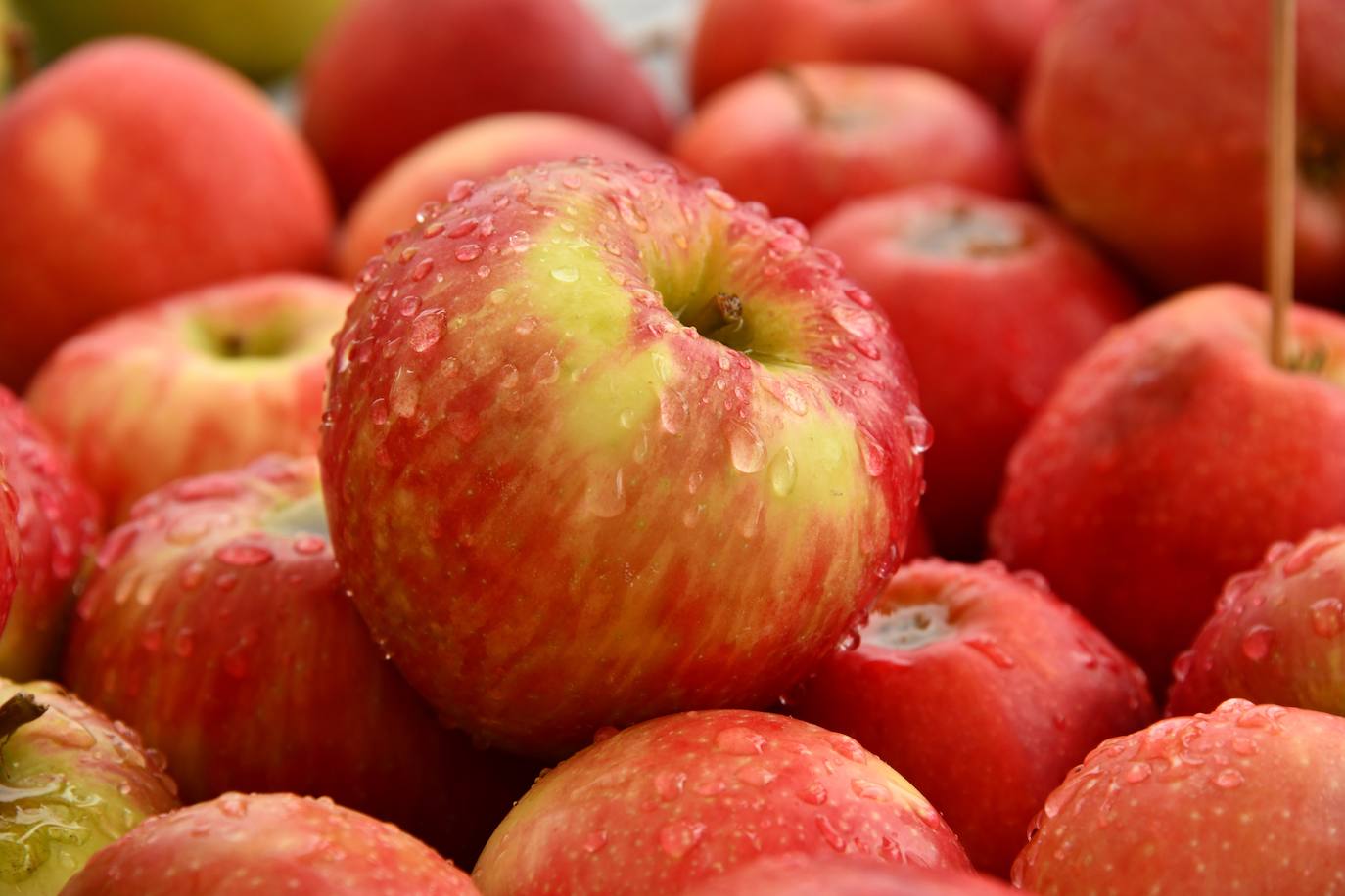 MANZANAS. «Las frutas más recomendadas para estas semanas son las naranjas, mandarinas, peras y manzanas. Especialmente estas últimas porque aguantan mucho tiempo sin necesidad de nevera. De hecho, es importante comerlas a temperatura ambiente. Los niños las comen bien y, además de en crudo, dan pie a hacer compota o manzanas asadas. Hay muchas variedades pero yo recomiendo las dulces, la reineta o las golden, que son muy nuestras».