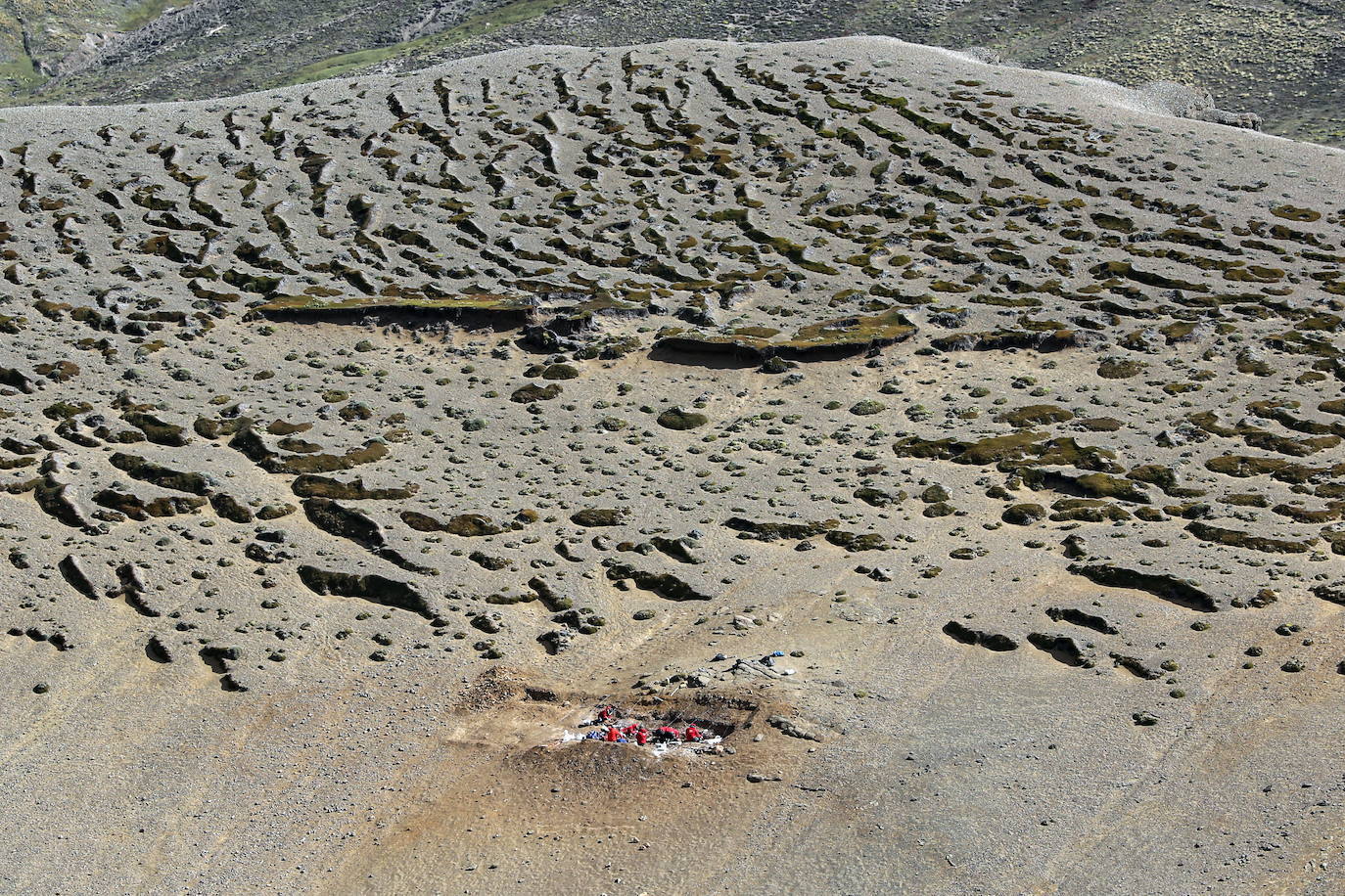 Se especializaron en el período Cretácico al final de la Era Mesozoica, coincidiendo con la extinción de los dinosaurios.