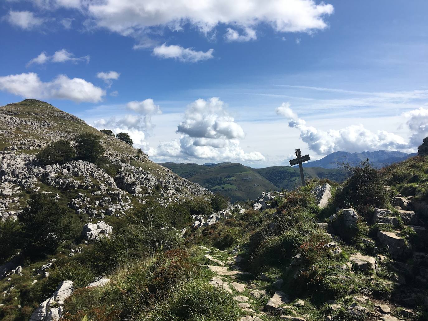 Collado Hoyo Castrejón.