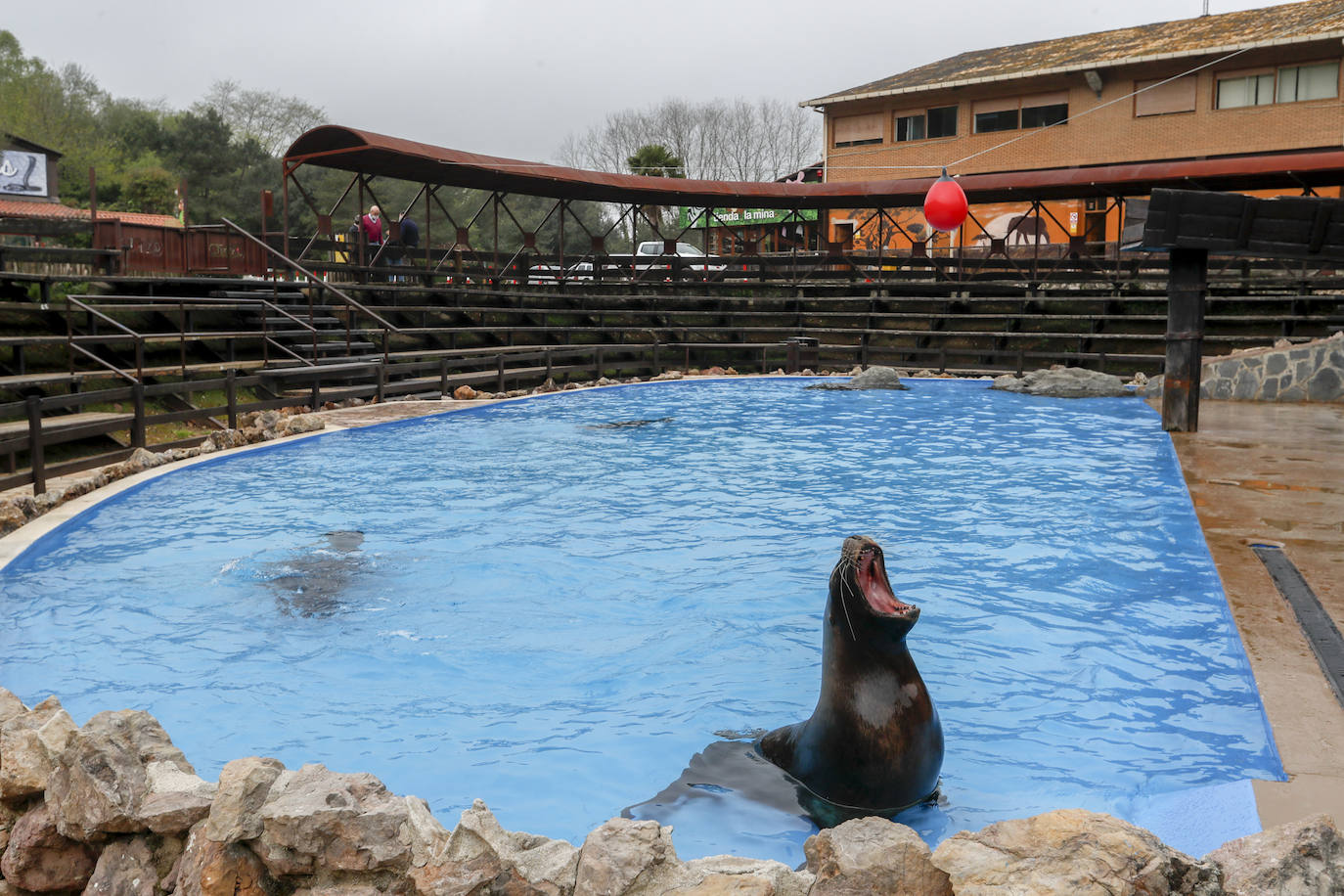 Fotos: Cabárceno y sus animales viven su Semana Santa mas extraña y solitaria