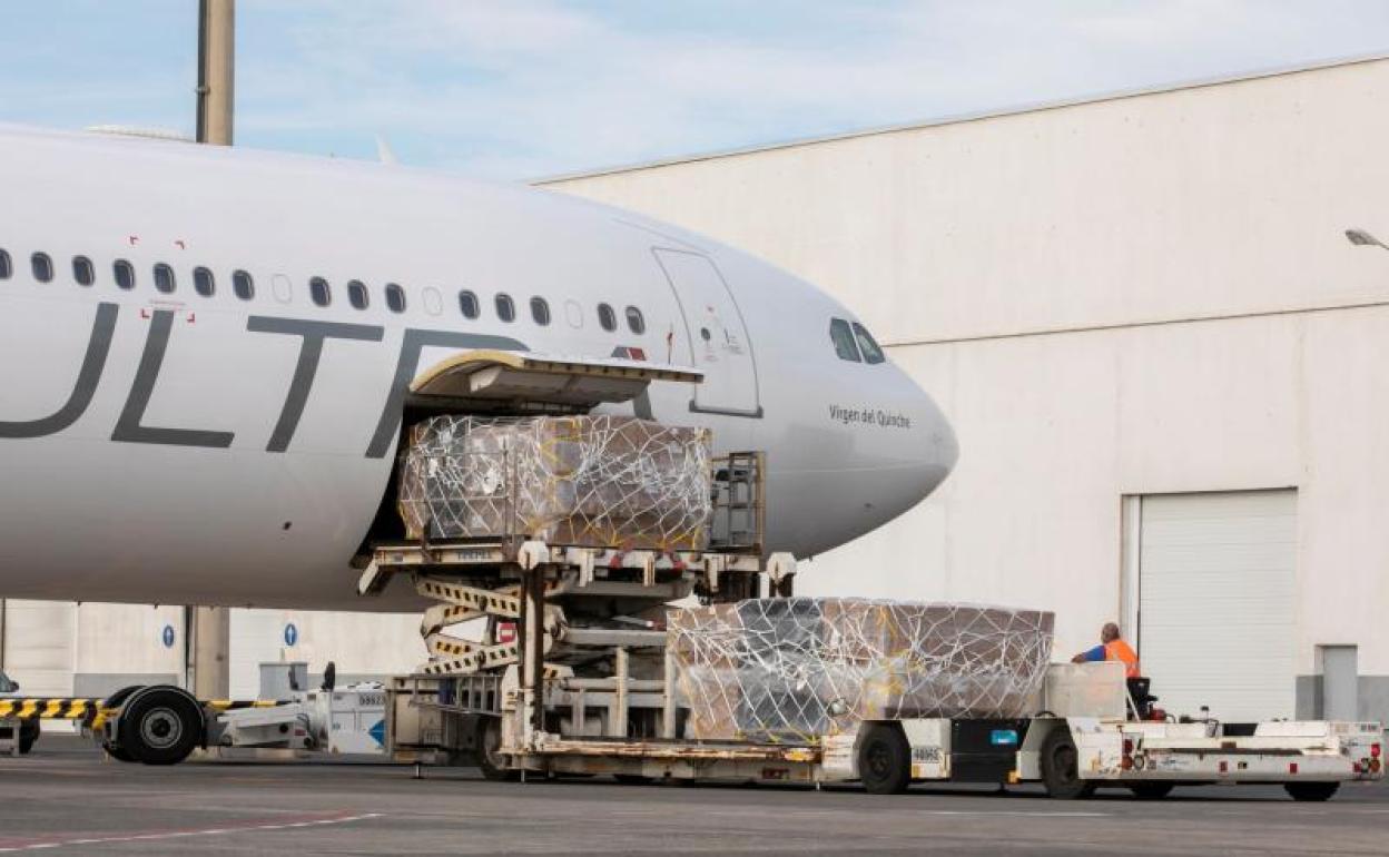 Operarios del aeropuerto de Gran Canaria descargan el avión. 