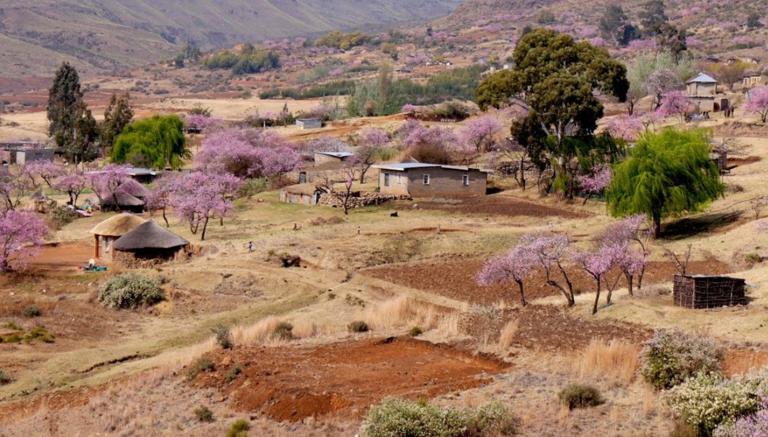 Lesoto | Un reino sin litoral a gran altura rodeado por Sudáfrica. Lesoto está entrecruzado por una red de ríos y cadenas montañosas que incluyen la cima a 3,482 m de altura de Thabana Ntlenyana. En la meseta de Thaba Bosiu, cerca de la capital de Lesoto, Maseru, se encuentran ruinas que datan del reino de Moshoeshoe I del siglo XIX.