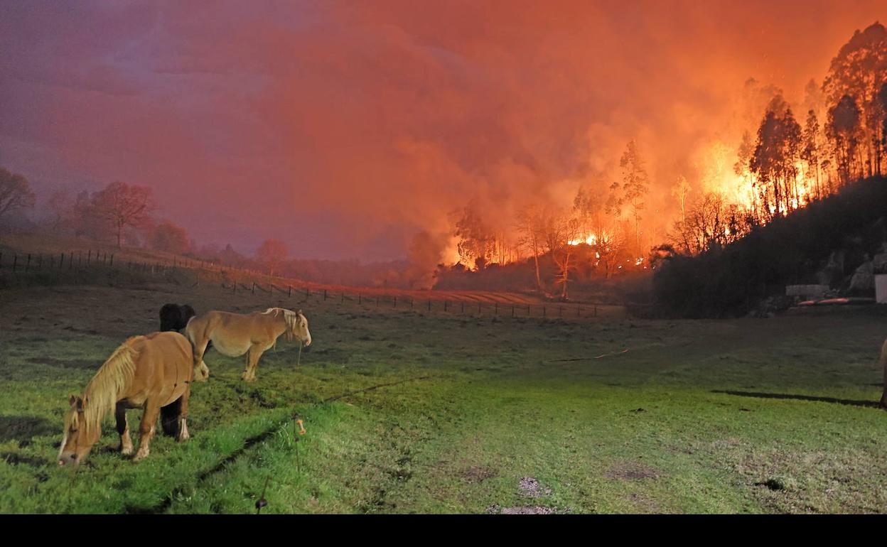 Identifican a un edil de Campoo de Yuso como presunto autor de un fuego