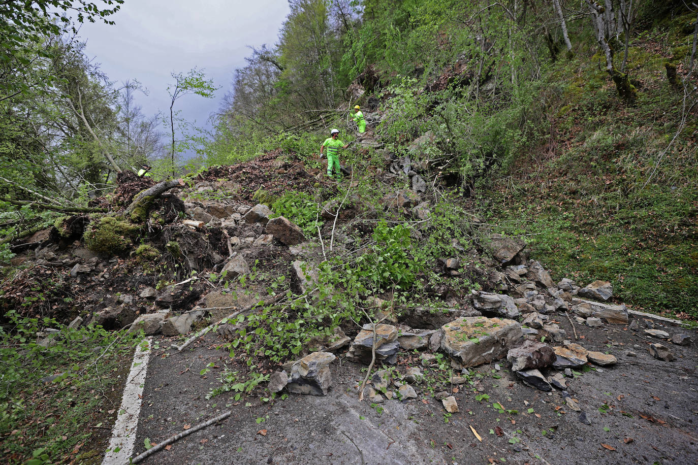 Un argayo de proporciones considerables invadió esta tarde la carretera CA-280, que une Reinosa con el valle de Cabuérniga, en el kilómetro 14,2 a la altura del pueblo de Saja, perteneciente al municipio de Los Tojos.