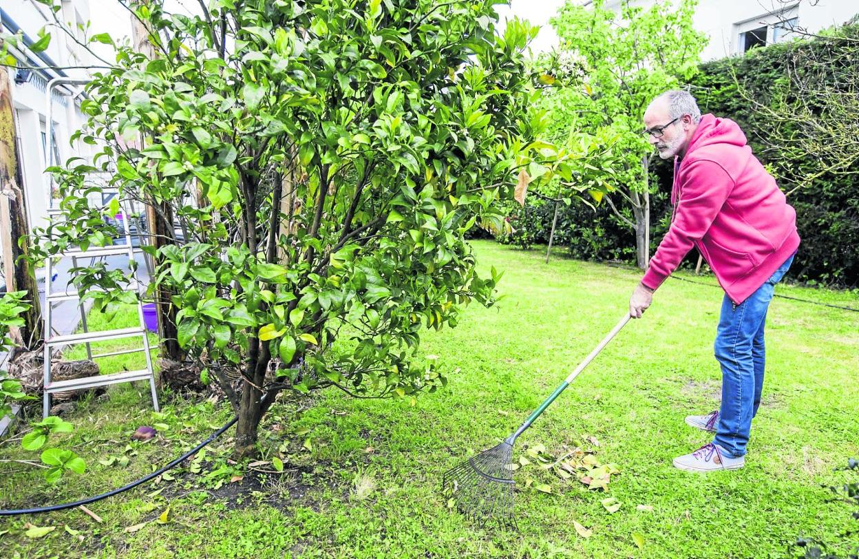 El consejero de Sanidad, Miguel Rodríguez, retira la hojarasca en el jardín de su casa, un remanso de paz para él. 