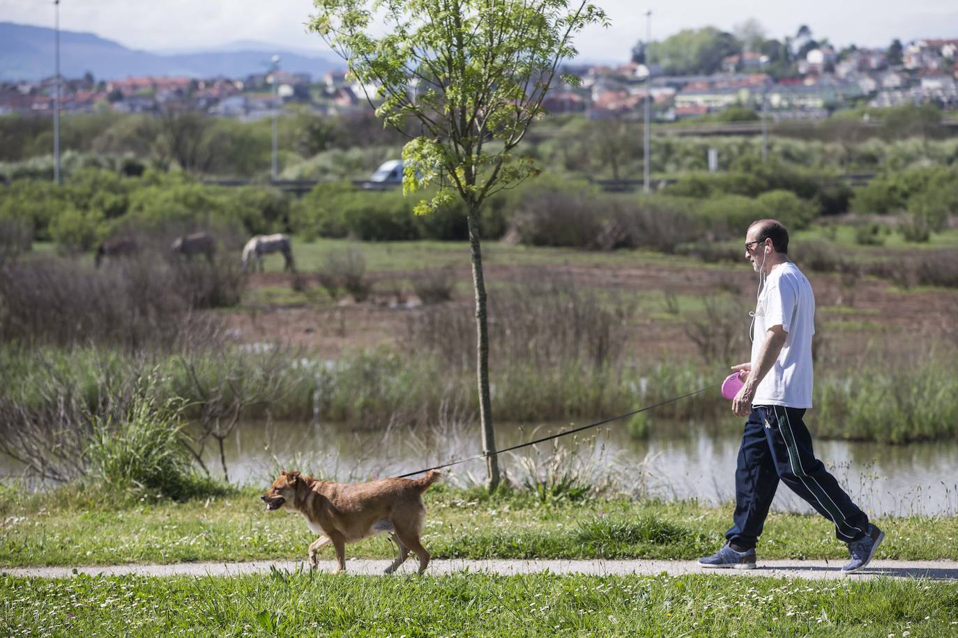 Este barrio siempre se ha caracterizado por su quietud. Estos días, apenas se ve gente andando por sus calles