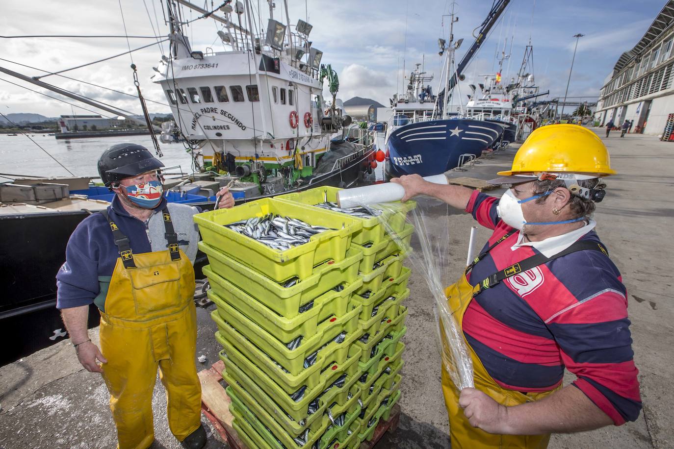 En su primer día de costera, la flota se encontró con abundate pescado a pocas millas de la costa oriental. Las lonjas de Santoña y Laredo subastaron 500 toneladas