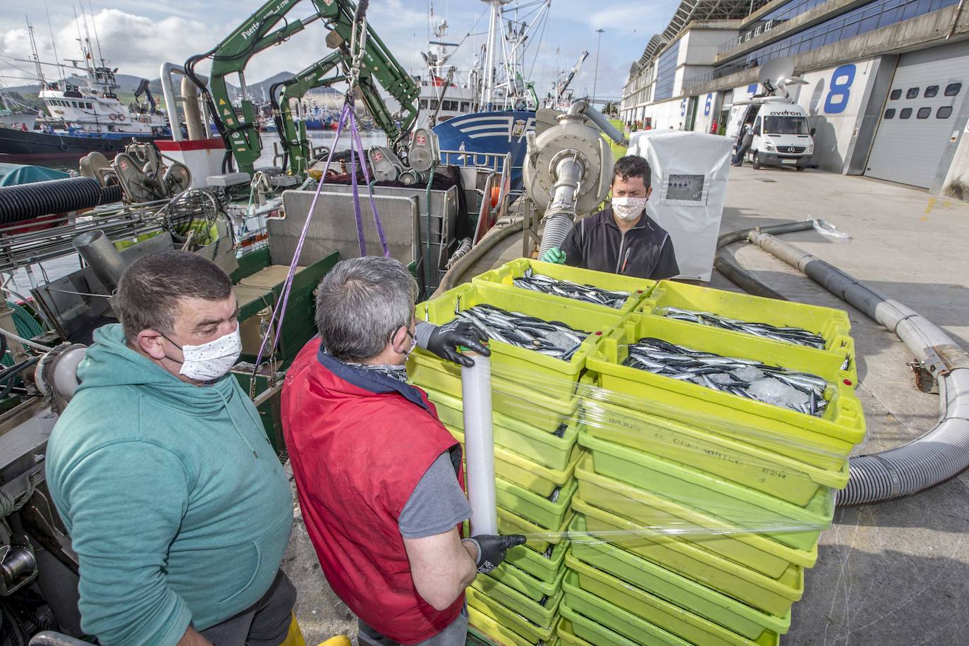 En su primer día de costera, la flota se encontró con abundate pescado a pocas millas de la costa oriental. Las lonjas de Santoña y Laredo subastaron 500 toneladas