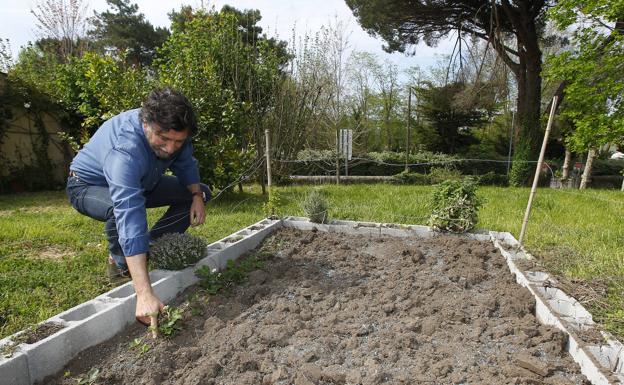 La pequeña huerta en la que esta primeravera ha plantado unas fresas.