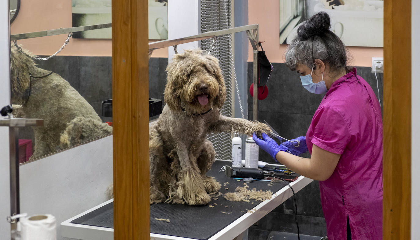 Excepto las peluquerías y algunos servicios muy puntuales con cita previa, los negocios que han abierto este lunes sus puertas en Cantabria son una excepción
