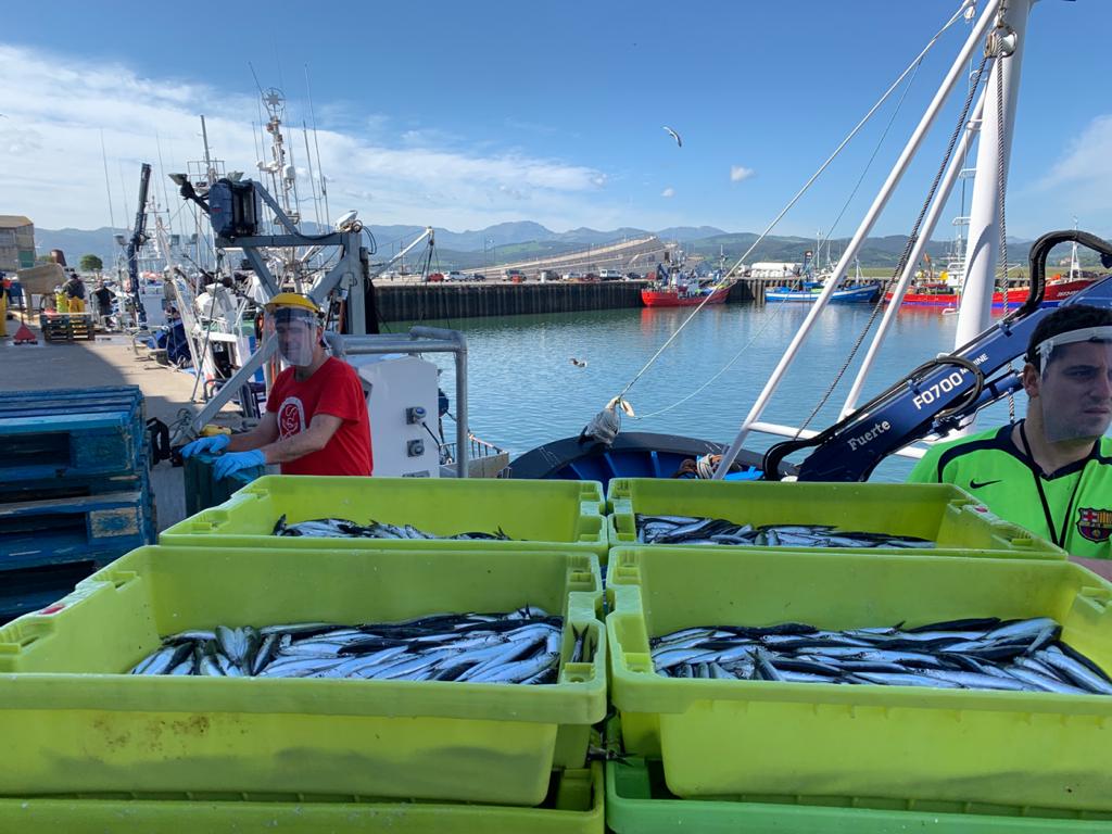 Fotos: El Estrella Polar Primero descarga el verdel en Santoña