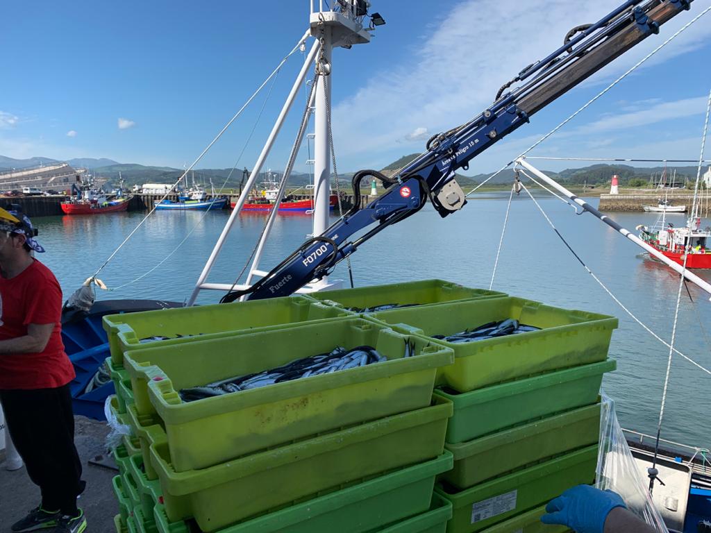 Fotos: El Estrella Polar Primero descarga el verdel en Santoña