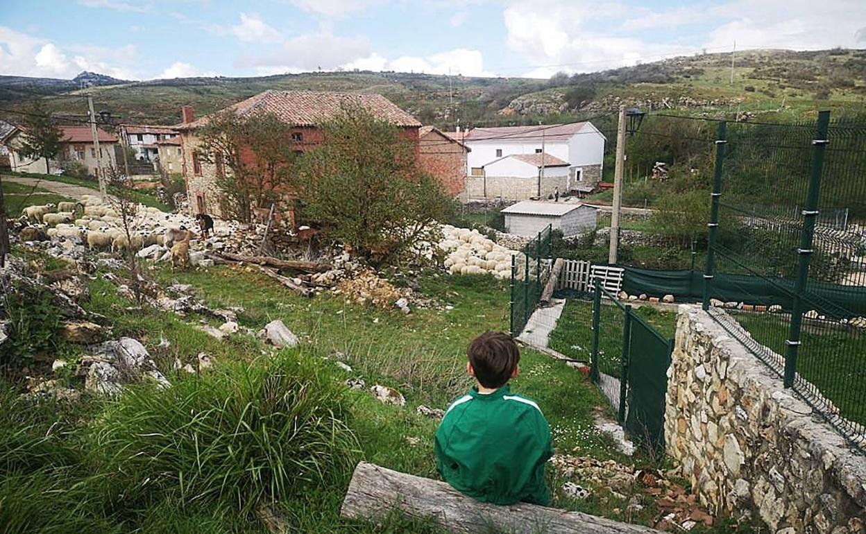 El Gobierno estudia ahora cómo acelerar la desescalada en zonas rurales