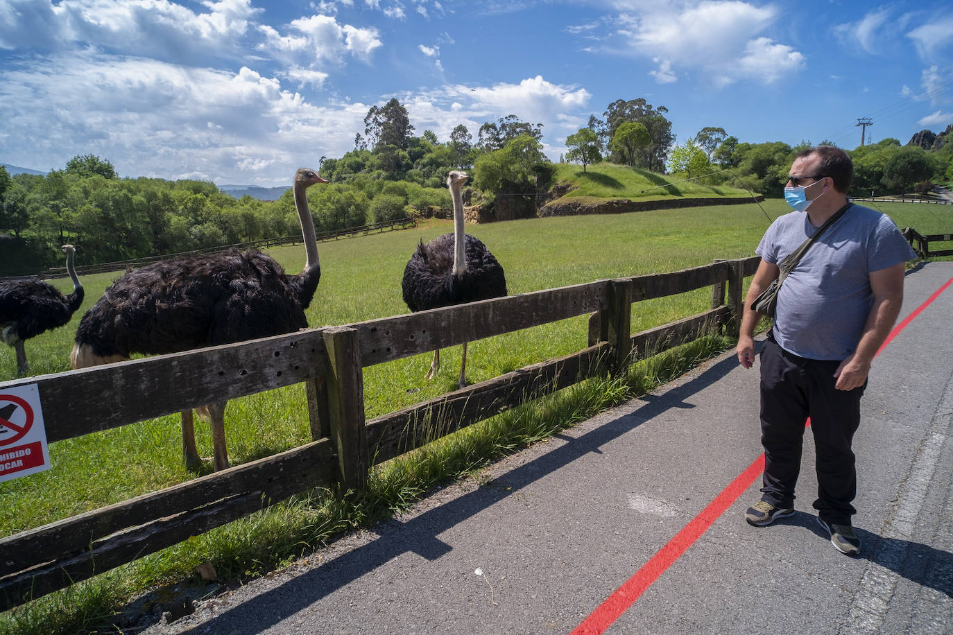 Fotos: Cerca de 300 personas visitan cabárceno en su reapertura