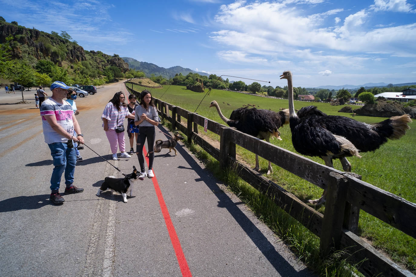 Fotos: Cerca de 300 personas visitan cabárceno en su reapertura