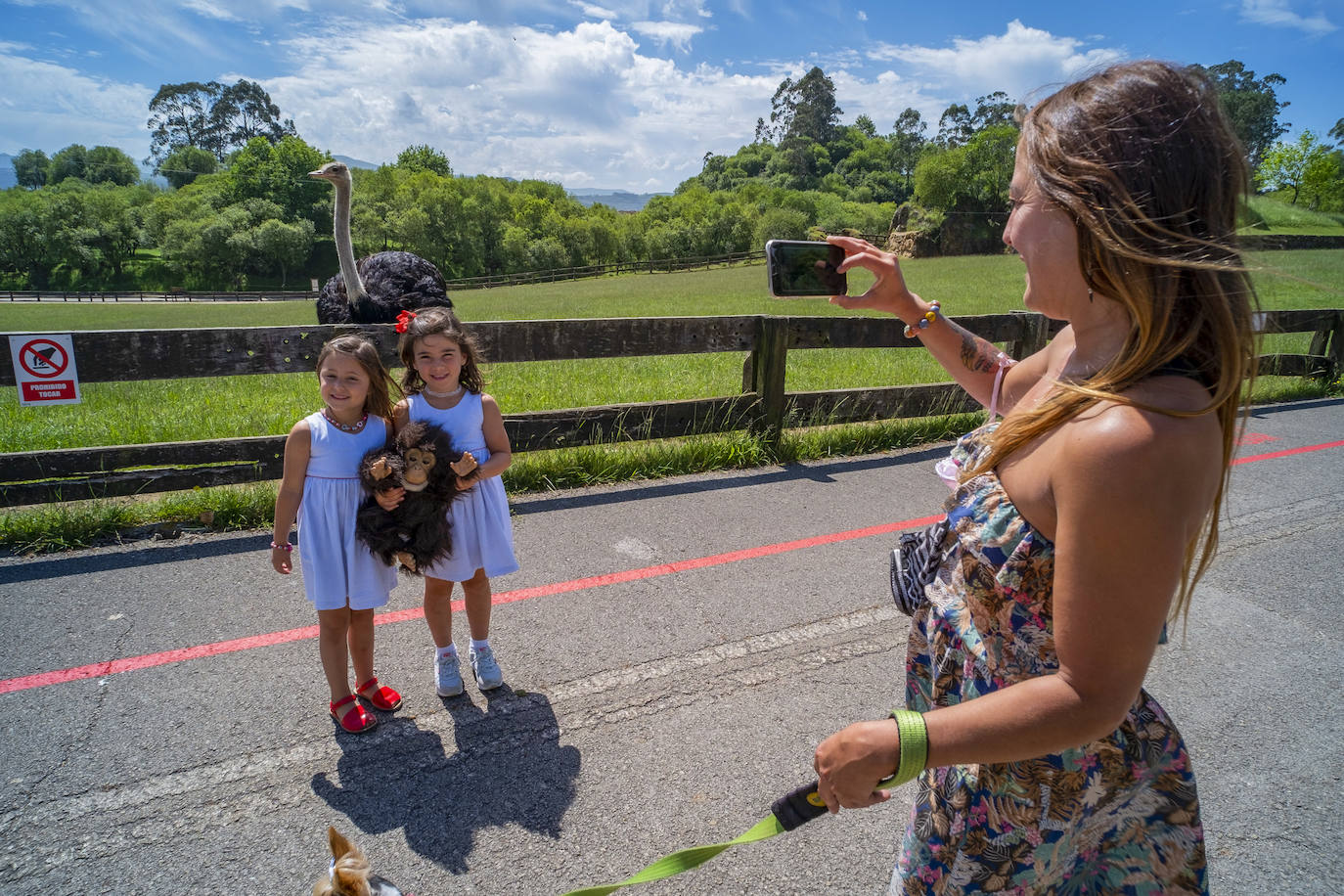 Fotos: Cerca de 300 personas visitan cabárceno en su reapertura