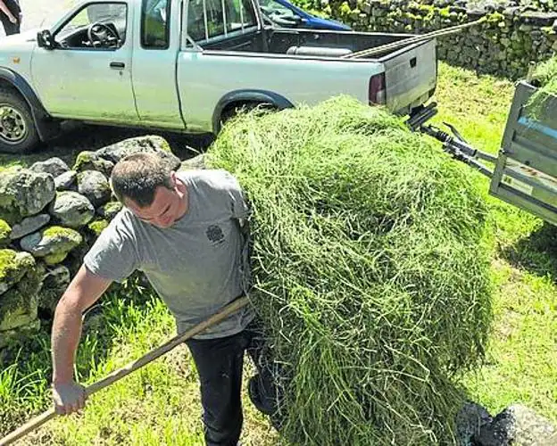 La primavera y el verano es el momento de rastrillar y almacenar la hierba para el invierno. 