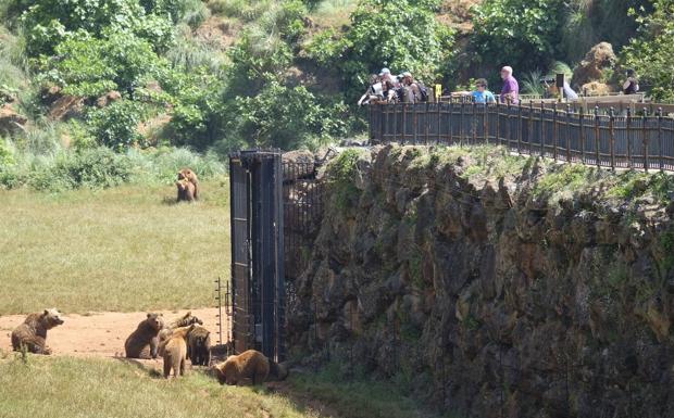 Primeros visitantes a Cabárceno, esta mañana.