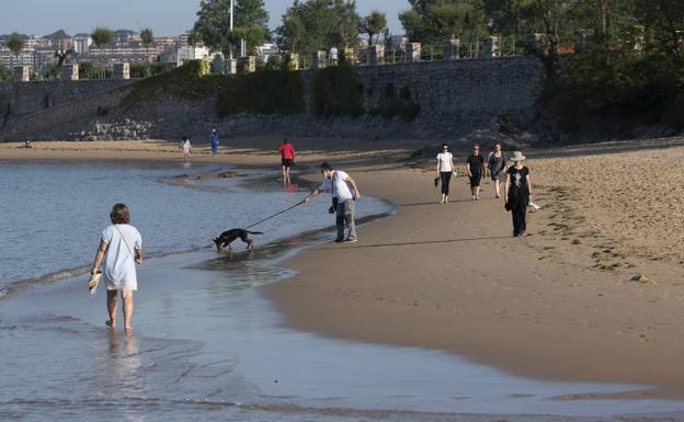 Cantabria encadena su sexta jornada consecutiva sin muertes por coronavirus