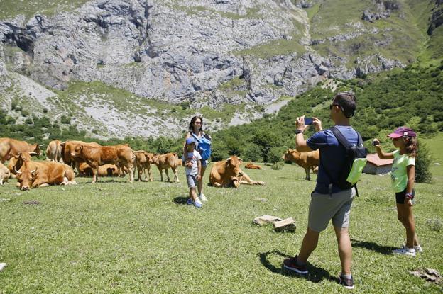 El turismo rural exige garantías jurídicas si se da el caso de un cliente con Covid-19 