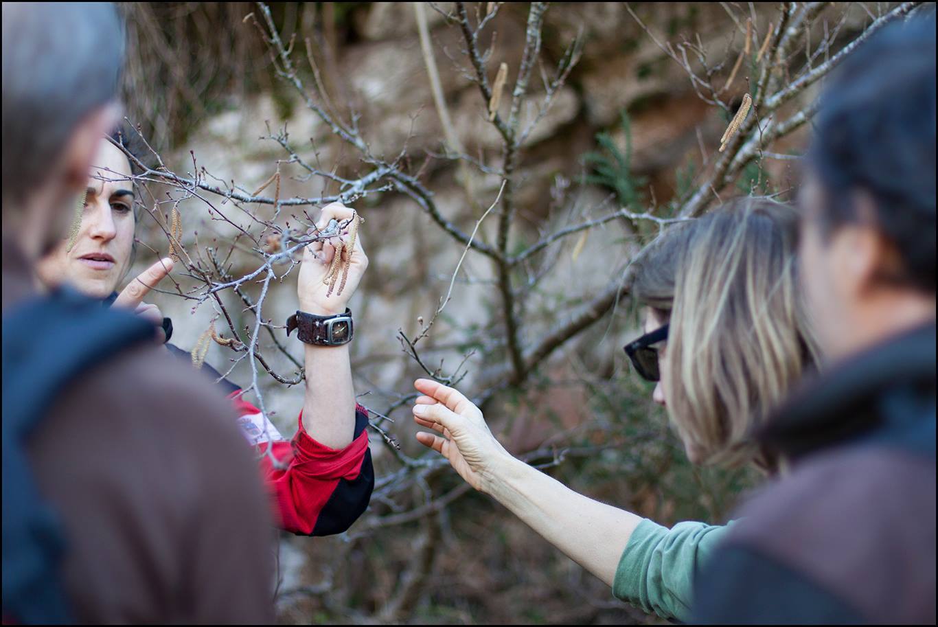 Fotos: Imágenes de los parajes que incluyen las actividades de Naturea Cantabria