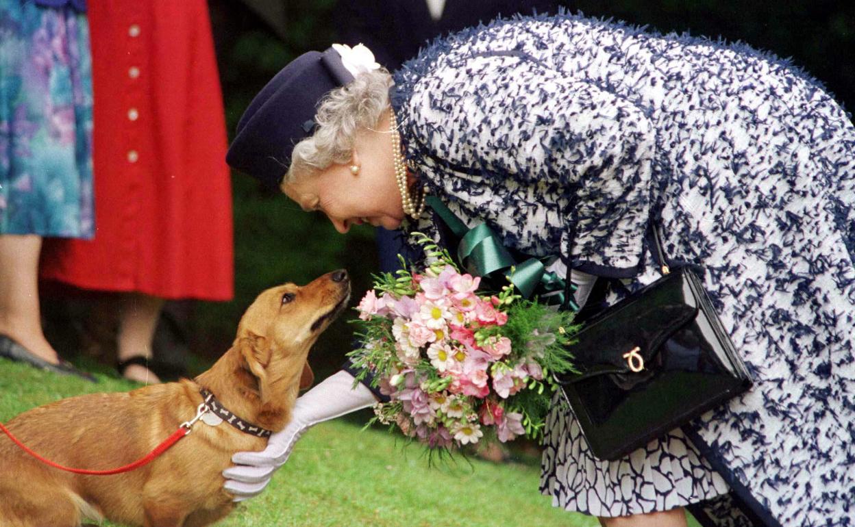 Isabel II con uno de sus perros.