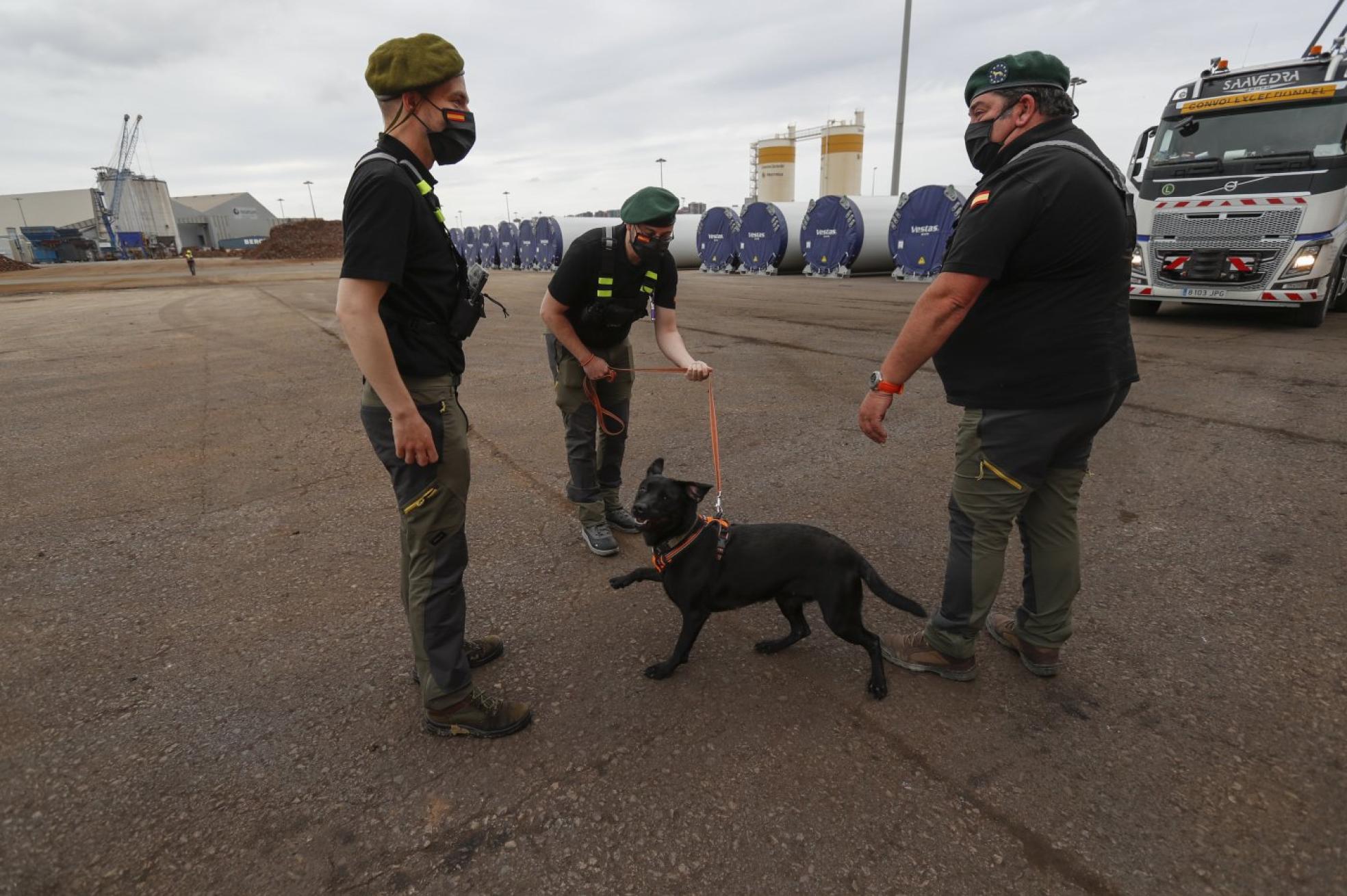 El equipo contratado por el Grupo Gof para proteger las cargas de Vestas está integrado por tres guías y cuatro perros rastreadores. 