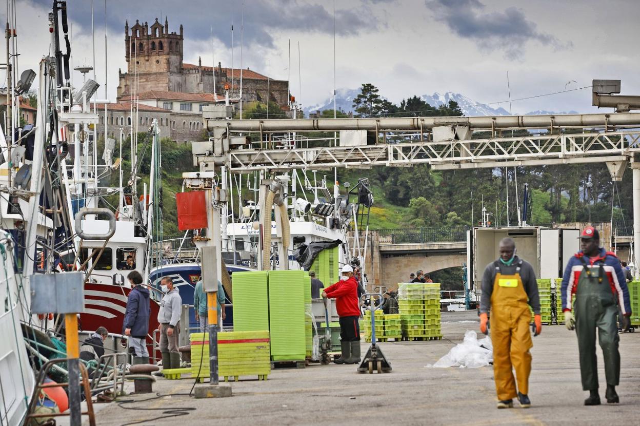 La excepcional costera del bocarte ha generado una inusual actividad en el puerto de San Vicente.