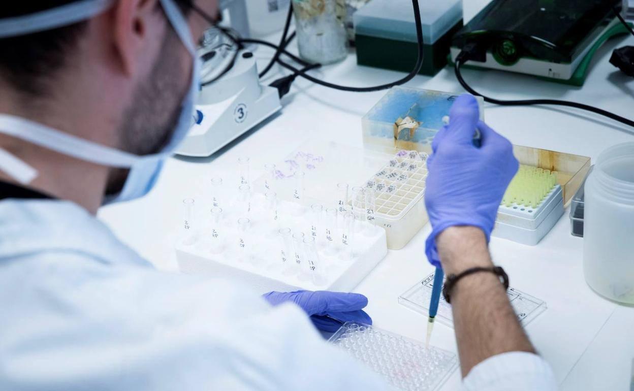 Trabajadores en un laboratorio. 