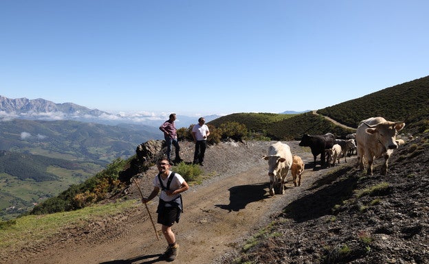 Blanco y el alcalde de Vega de Liébana observan la llegada del ganado al puerto