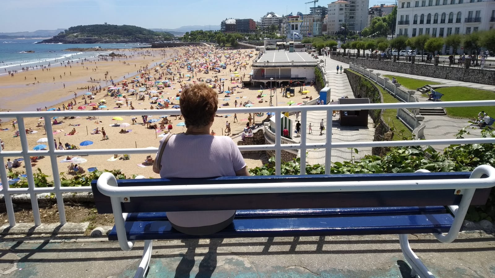 Fotos: Las playas de Santander, hasta la bandera