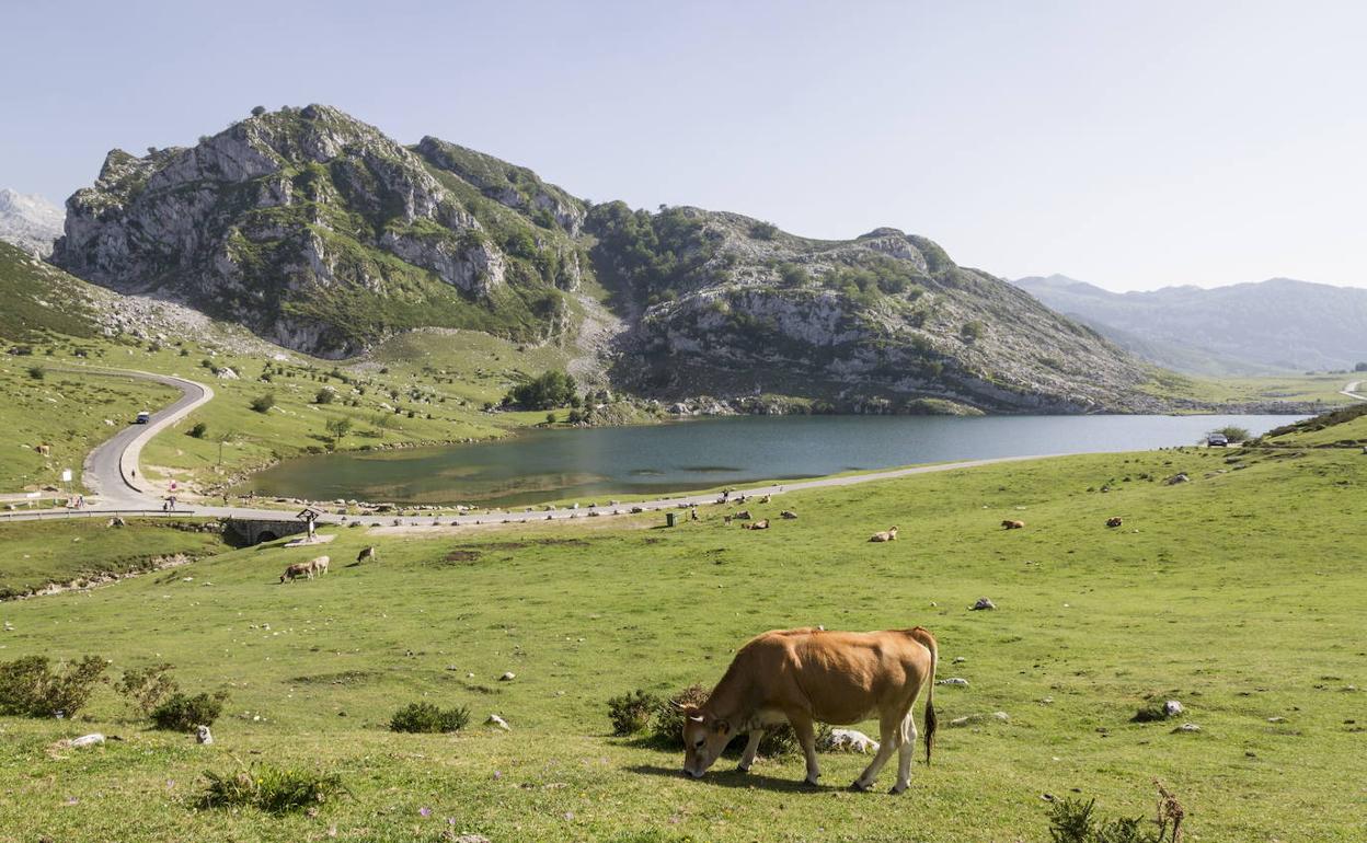 Imagen de los Picos de Europa y los lagos de Covadonga.