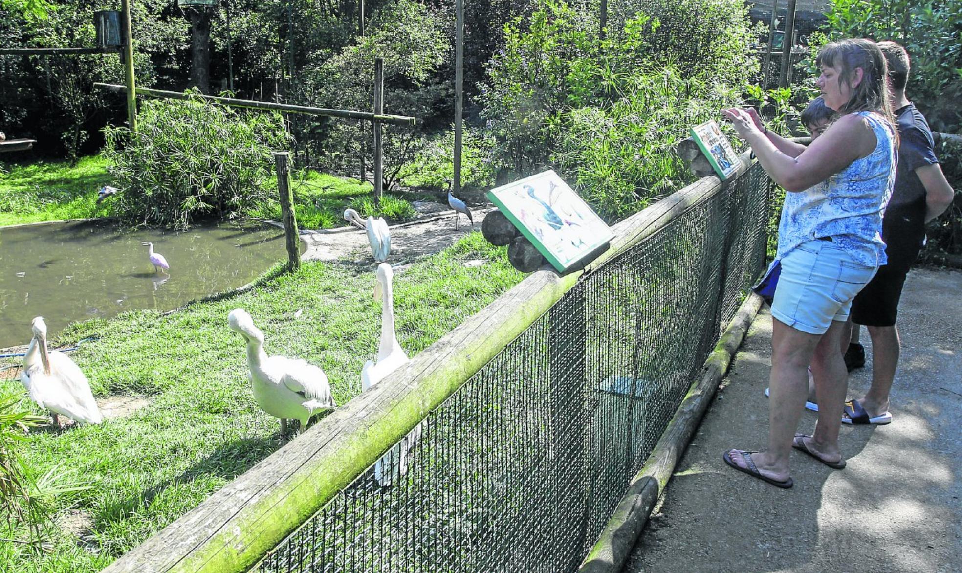 Reapertura. Numerosas familias han acudido al zoo después de l cierre obligado.